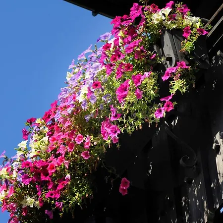 Roesslwirt Kirchberg en Tyrol