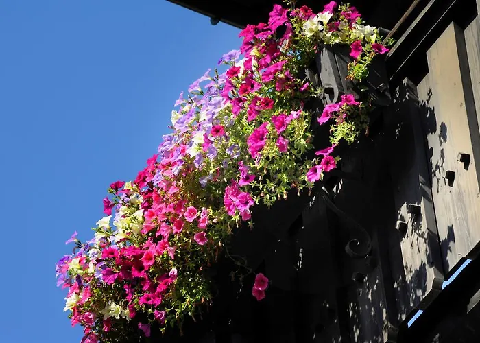 Roesslwirt Kirchberg in Tirol